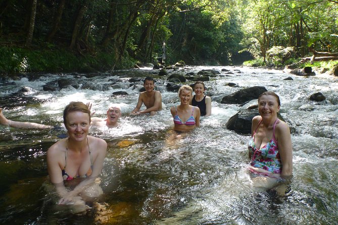 Full-Day Group Tour of Daintree, Cape Tribulation, and More  - Port Douglas - Guest Satisfaction and Value Assessment