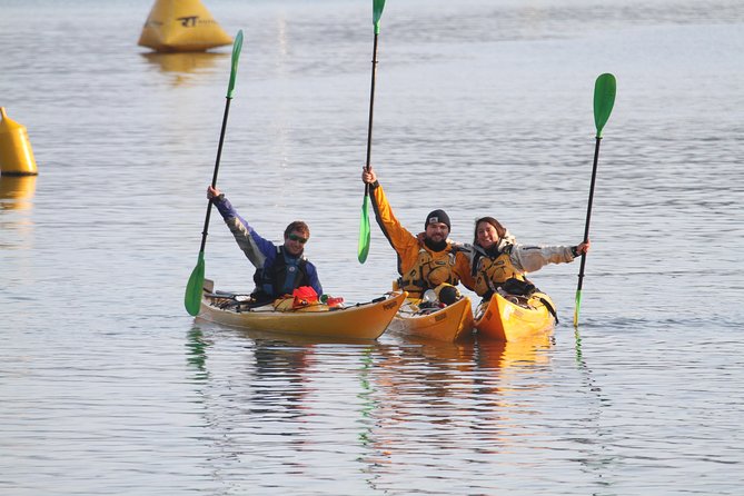 Full Day Guided Sea Kayak Tour From Picton - Booking Requirements