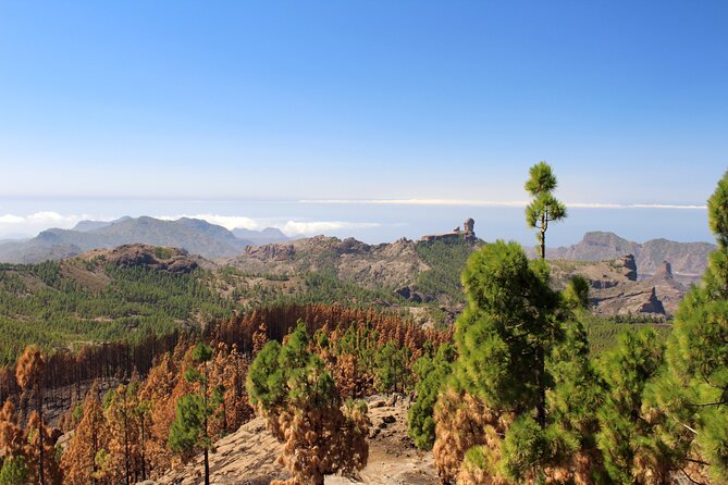 Full Day Hiking Gran Canaria Peaks of Gran Canaria - Traveler Testimonials