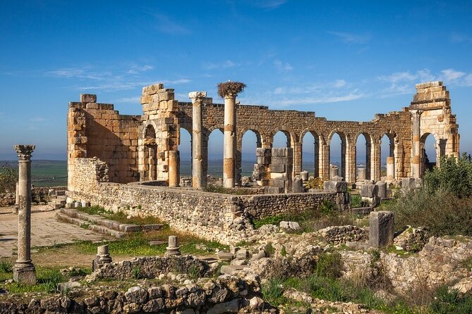 Full-day Historical Meknes Volubilis and Moulay Idriss Tour - Traveler Experiences