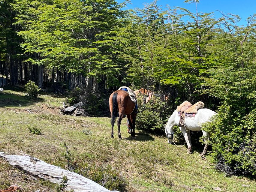 Full Day Horseback Riding Trail Ride to the Mountain - Booking Information and Reservations