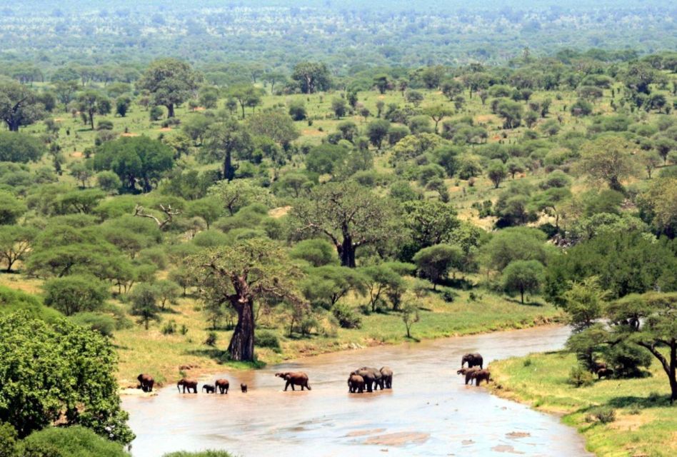 Full Day Isimangaliso Wetlands Park Tour From Durban - Accessibility and Amenities