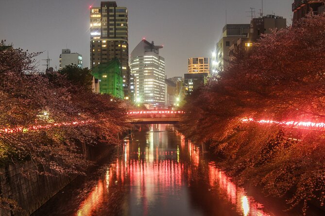 Full Day Kyoto and Nara Guided Tour - Cultural Experiences