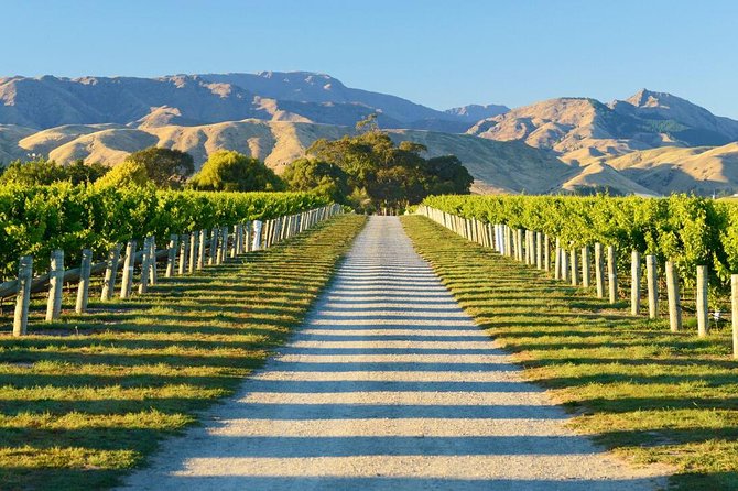 Full-Day Marlborough Wine Tour Including Wine Tasting - Tour Guide and Winery Experience