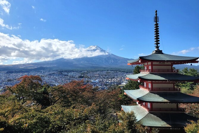 Full Day Mount Fuji Private Tour With English Speaking Guide - Common questions