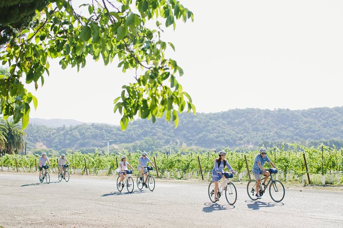 Full-Day Napa Valley E-Bike Tour - Common questions