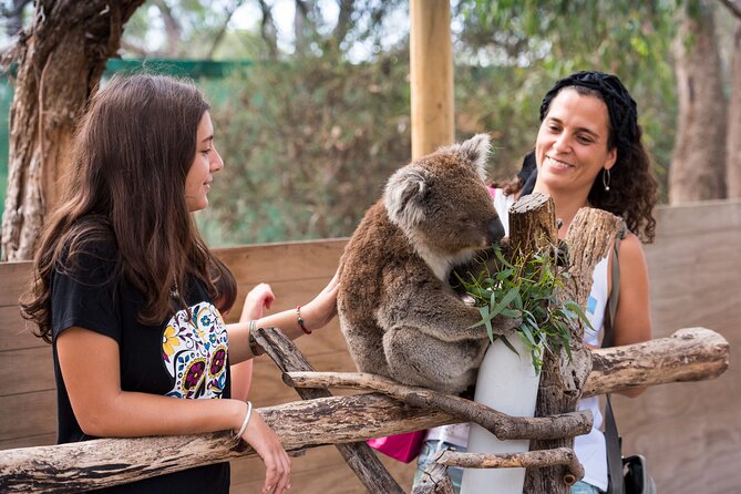 Full-Day Phillip Island Tour With Kangaroo, Koala and Penguin Parade - Booking Details