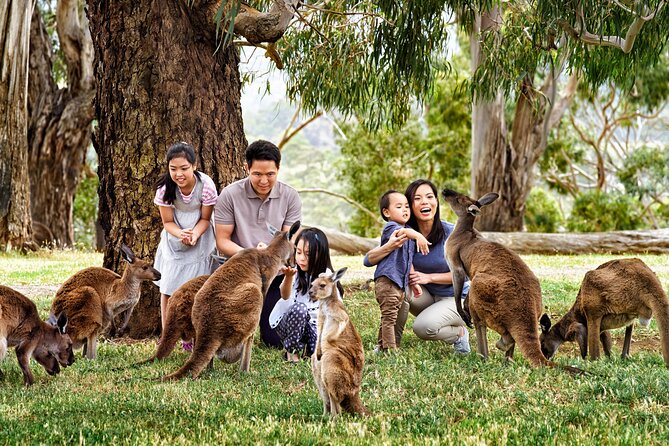 Full-Day Private Australian Wildlife Tour of Phillip Island - Pricing and Duration