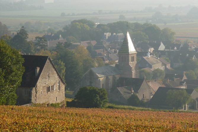 Full Day Private Tour 10 Premiers & Grands Crus, The Best of Burgundy - Wine Estates Visit