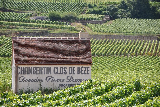 Full-Day Private Tour, 6 Premiers & Grands Crus, The Best of Burgundy - Expert Guides and Wine Knowledge