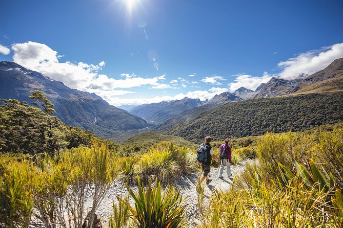 Full-Day Routeburn Track Key Summit Guided Walk From Te Anau - Safety Considerations