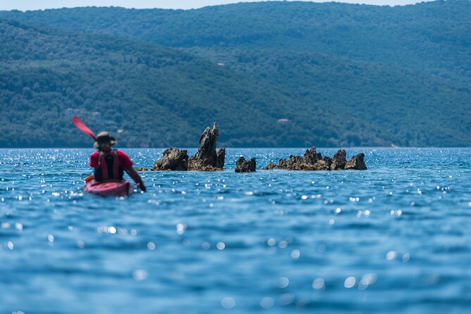 Full-Day Sea Kayaking Tour in Lefkada - Common questions