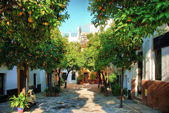 Full Day Seville Tour With Tickets (Optional Tapas & Flamenco) - Common questions
