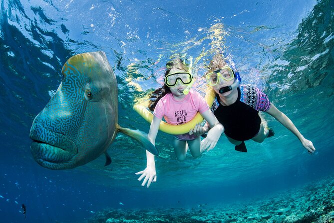 Full-Day Small-Group Guided Snorkeling Tour, Outer Reef (Mar ) - Pricing and Refund Policy