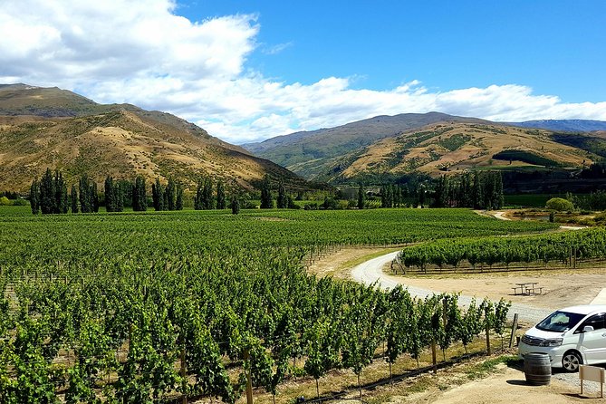 Full-Day Sommelier Guided Private Wine Tour of Central Otago - Customer Support Information