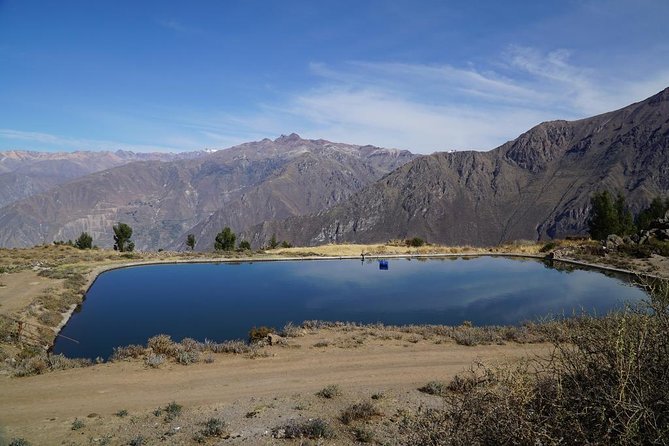 Full Day Tour / Colca Canyon - Pricing, Booking, and Guarantee