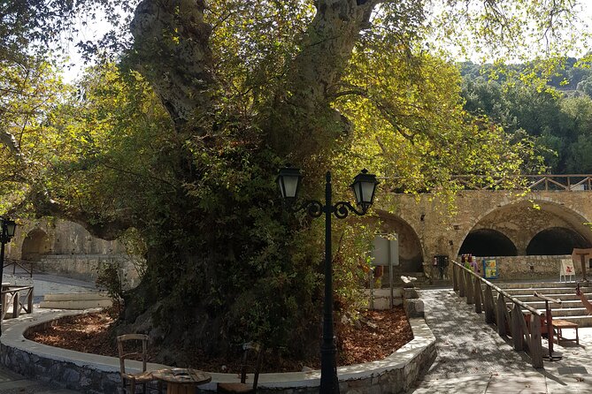 Full Day Tour in Knossos Palace,Lassithi Plateau and Zeus Cave - Nature Exploration: Plateau Flora and Fauna