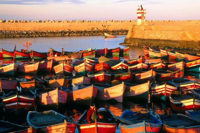 Full-Day Tour to Essaouira - the Ancient Mogador City From Marrakech - Highlights and Testimonials