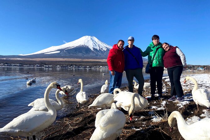 Full Day Tour to Mount Fuji - Customer Reviews and Ratings