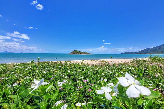 Full-Day Tour Whitsunday Waterfalls Hinterland and Secluded Beaches - Tour Reviews