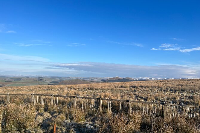 Full Day Trip Hadrians Wall and the Borders From Edinburgh - Common questions