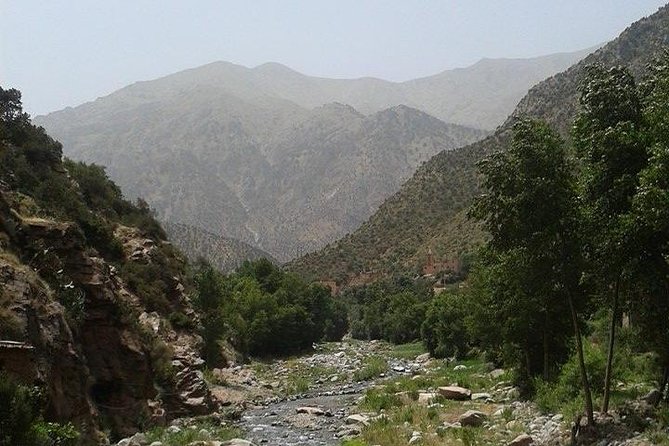 Full Day Trip To Ourika Valley From Marrakech - Insider Tips