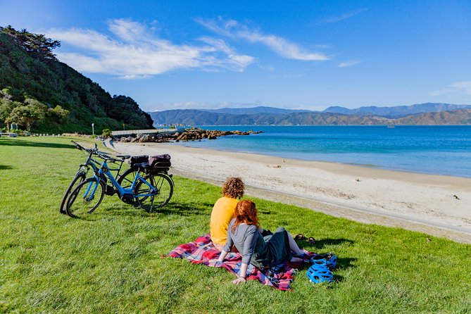Full-Day Wellington Self-Guided Electric Bike Tour - Additional Information