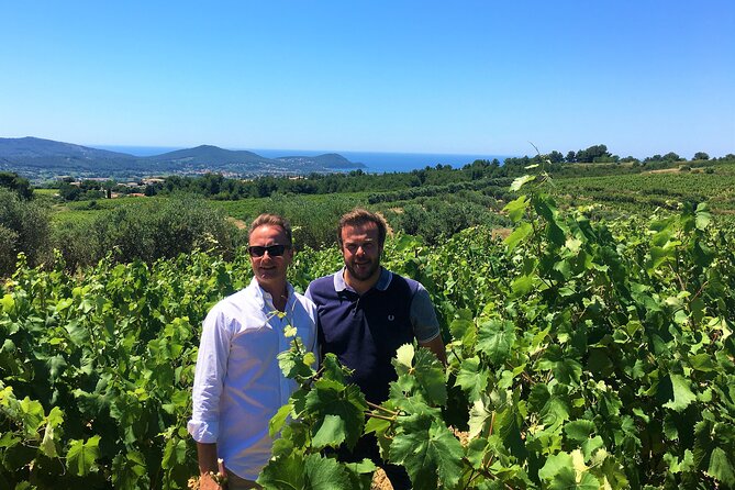 Full-Day Wine Tour Around Bandol & Cassis From Marseille - Scenic Stops and Attractions