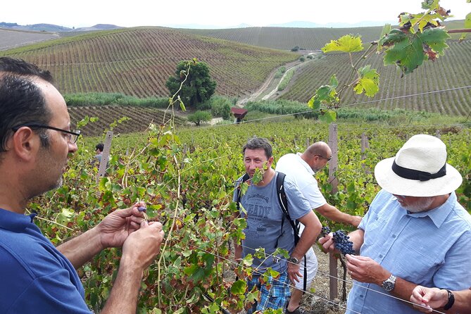 Full-Day Wine Tour in Western Sicily - Cancellation Policy Information