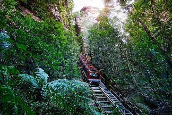 Fully Inclusive Blue Mountains Private Tour Inc Scenic World & Featherdale Entry - Inclusive Tour Benefits