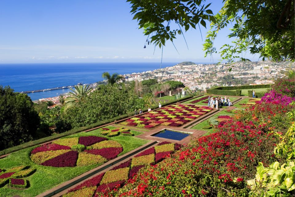 Funchal 3 in 1: 48-Hour Hop-On Hop-Off Bus Tour - Accessible Stops & Transportation