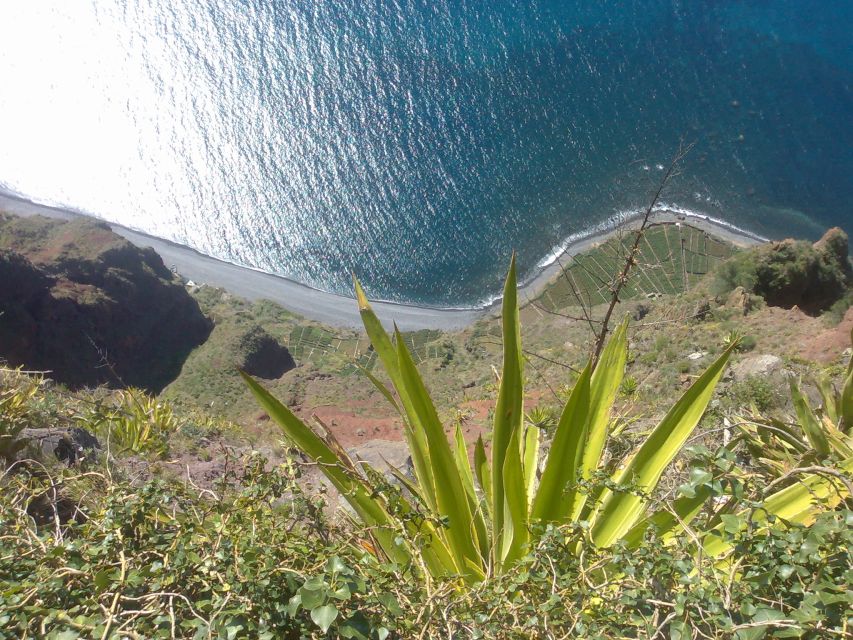 Funchal: Nuns Valley Private Half Day Tour - Common questions