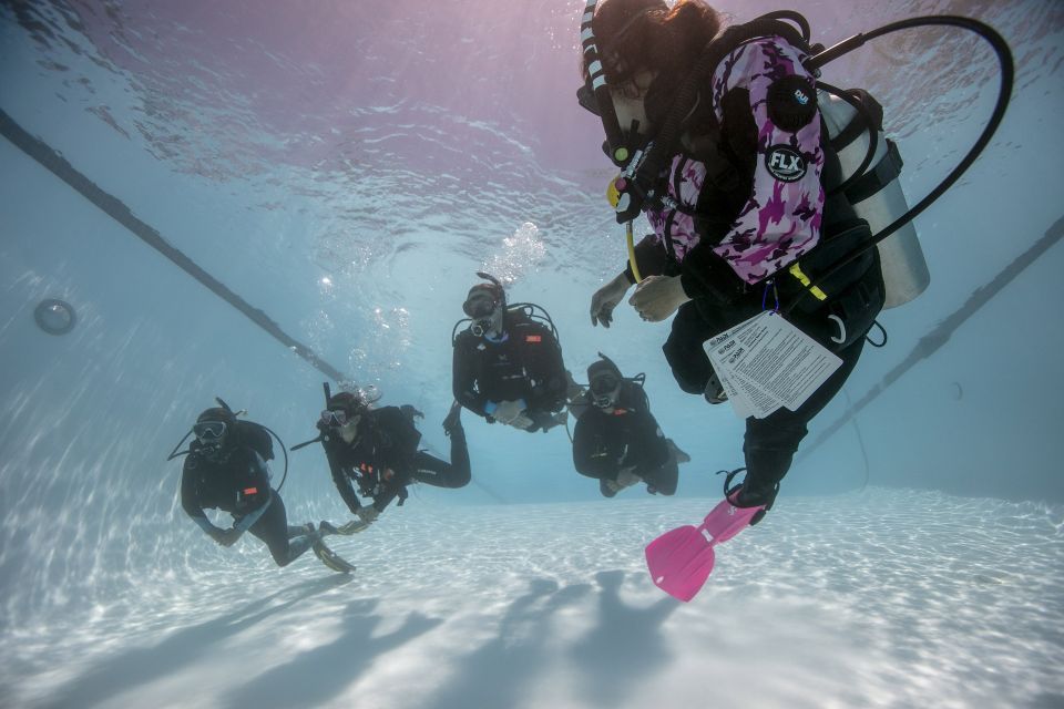 Funchal: Scuba Diving Experience for Beginners - Customer Reviews