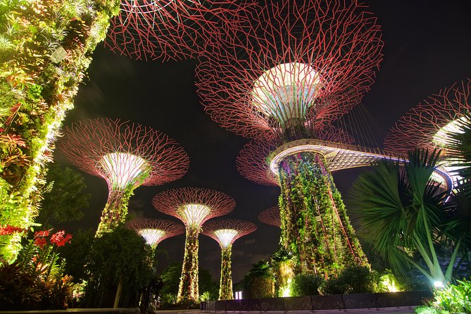 Gardens By The Bay Night Long-Exposure Photography - Tips for Capturing Stunning Light Trails