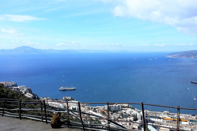 Gibraltar Private Trip From Marbella or Malaga - Tour Highlights