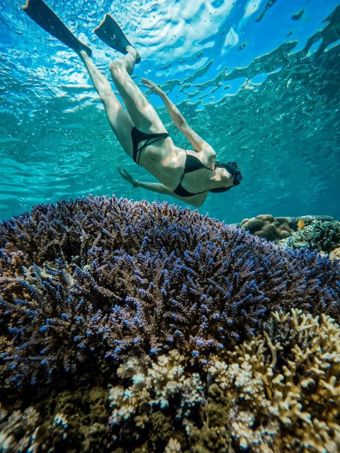 Gili Island: Group or Private Snorkeling Tour - Comparison: Group Vs. Private Tours