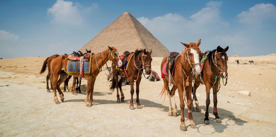 Giza: Arabian Horse Tour Around the Giza Pyramids - Inclusions and Unique Experiences
