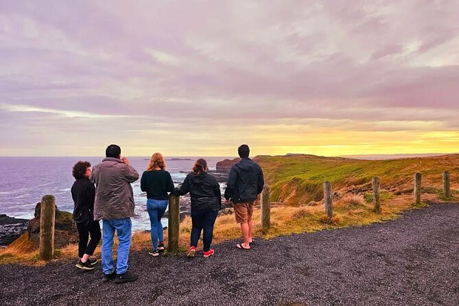 Golden Hour Penguins & Wine Tour With Pickups From Phillip Island - Traveler Experiences