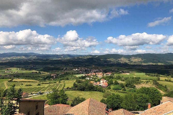 Golden Stones Beaujolais Wine Tour With Tastings From Lyon - Traveler Experience