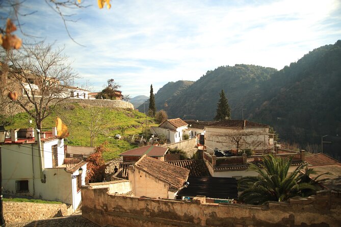 Granada Highlights Tour With Tapas Breaks by Electric Bike - Last Words