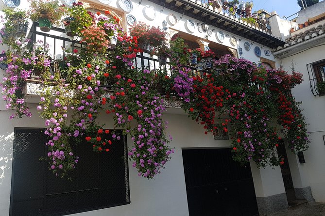 Granada Segway Tour to Albaicin and Sacromonte - Traveler Photos