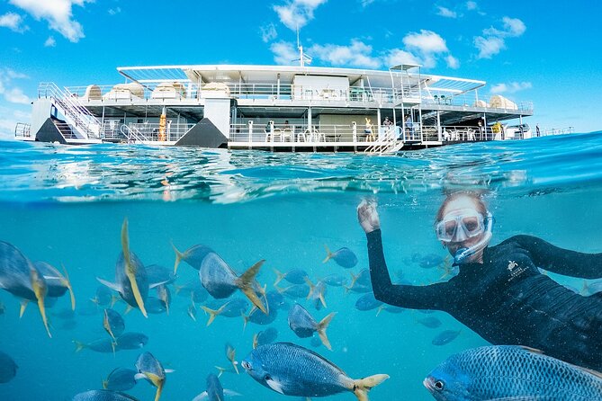 Great Barrier Reef Day Cruise to Reefworld - Common questions