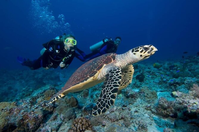 Great Keppel Island Day Trip Bundle From Yeppoon - Departure Details