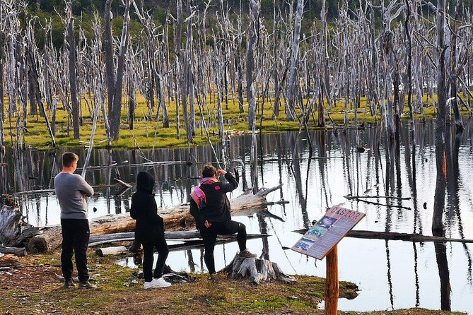 Group Sightseeing Tour to Escondido Lake and Fagnano Lake  - Ushuaia - Photo Gallery