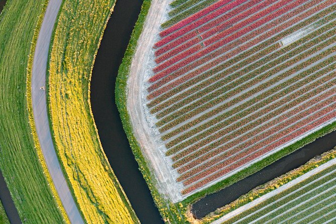 Guided Bike Tour Along the Dutch Tulip Fields in Noord Holland - Photo Gallery