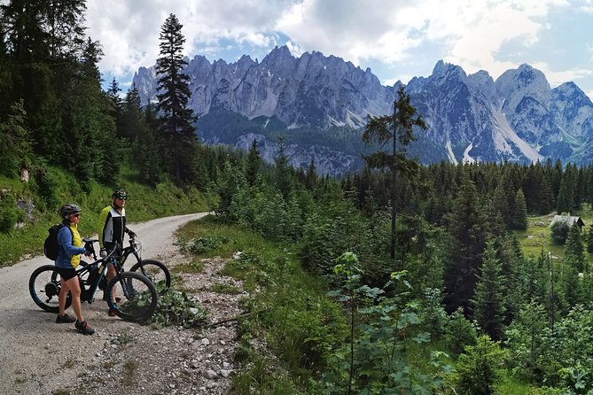 Guided E-Bike Tour of the Alpine Pastures in the Salzkammergut - Common questions