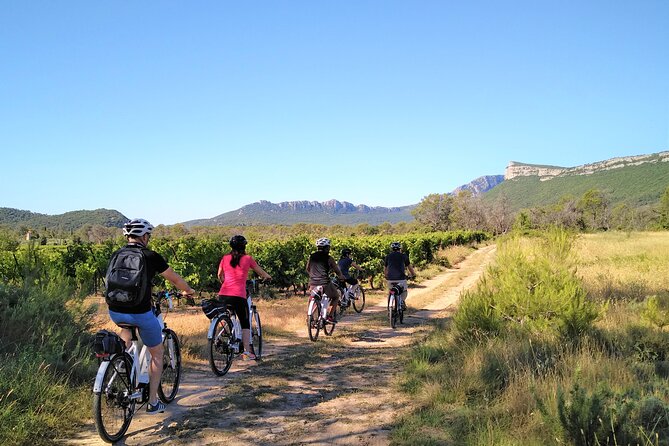 Guided Electric Bike Tours With Tasting in Pic Saint Loup - Questions and Contact Information