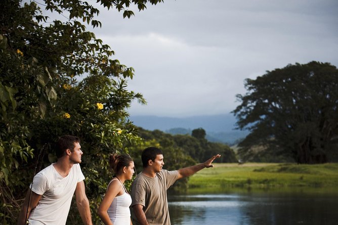 Guided Half-Day Tour of Daintree Rainforest  - Port Douglas - Logistics and Cancellation Policy