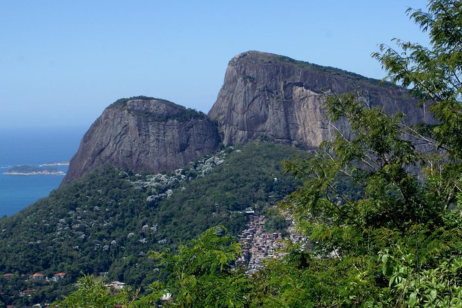 Guided Jeep Adventure Through Tijuca Rain Forest - Common questions