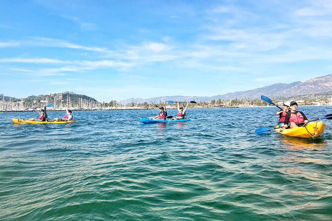 Guided Kayak Wildlife Tour in the Santa Barbara Harbor - Cancellation Policy